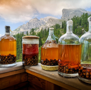 grappa
